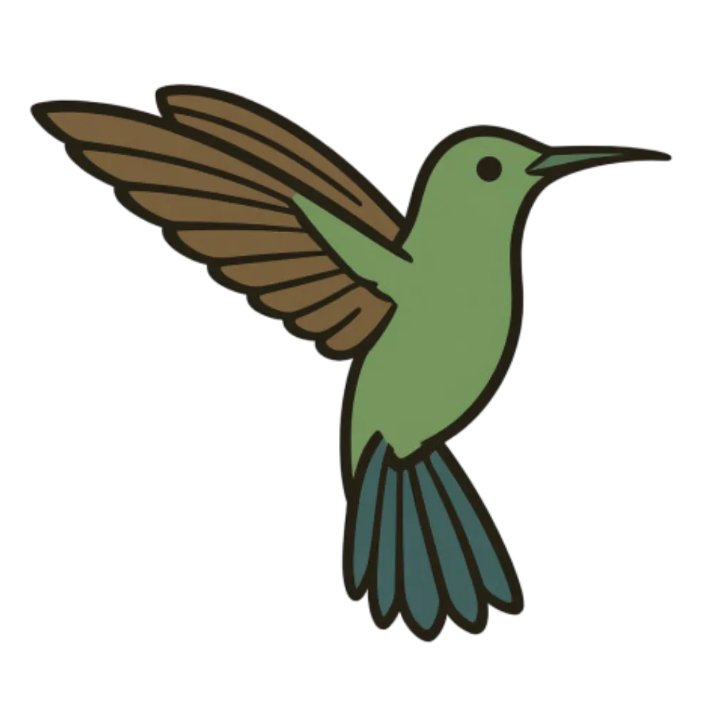 Gavilán, Colibrí