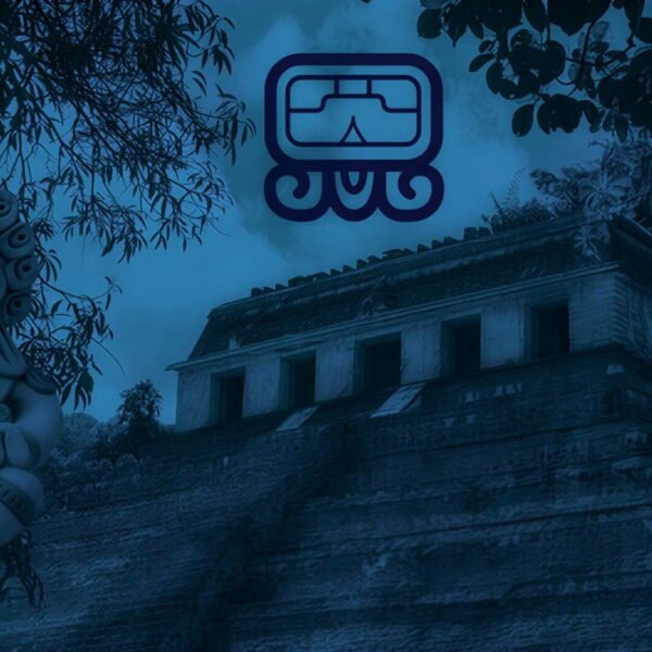 Nawalesimportancia 600x600